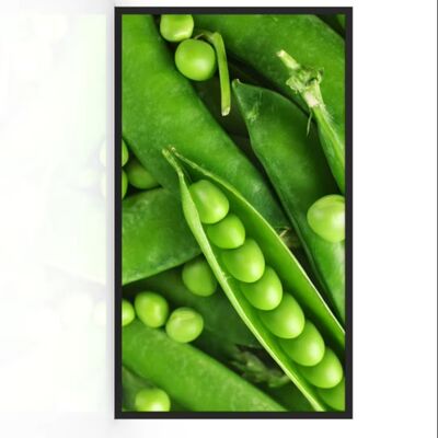 kaufen 55-Zoll IP67 wasserdichte Outdoor-Digital-Signage mit 3000 Nits Helligkeit LCD-Werbemaschine Online-Herstellung