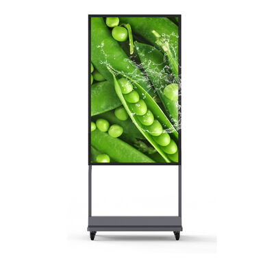 kaufen 55 Zoll IP67 wasserdichtes Digital Signage mit 5000 Nits Helligkeit LCD Werbebildschirm Online-Herstellung