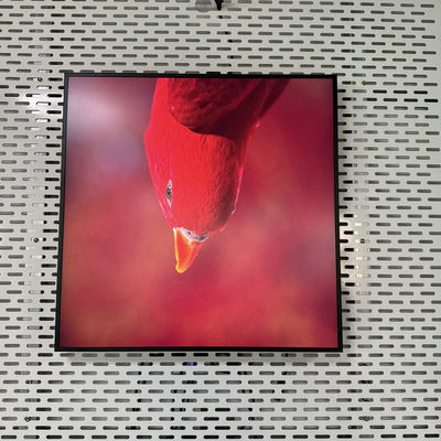 Auflösung 948*948 Quadrat All-in-One Digital Signage mit USB HDMI RJ45 Schnittstelle