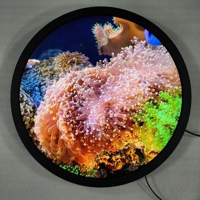 Quad-Core Cortex-A53 Round Art Display, frei stehende digitale Beschilderung und optionale Touchscreen